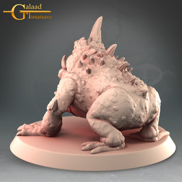Toad